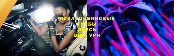 тгк Богородск
