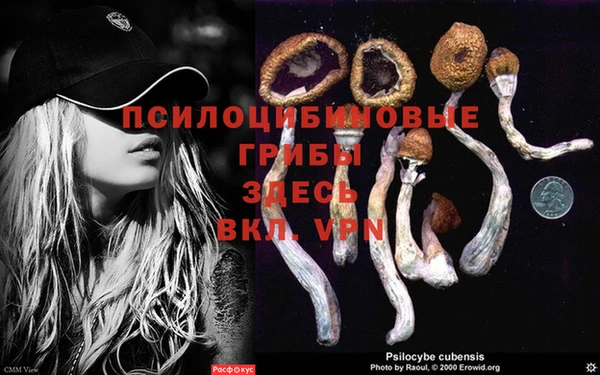 скорость Богданович