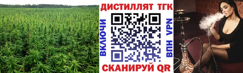 mega ONION  Великий Устюг  ТГК концентрат 