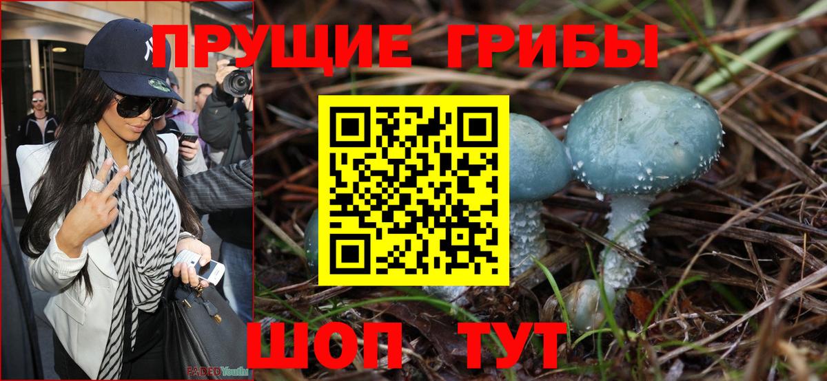 Псилоцибиновые грибы мицелий  где купить наркоту  Великий Устюг  Вход с VPN  Псилоцибиновые грибы Magic Shrooms 