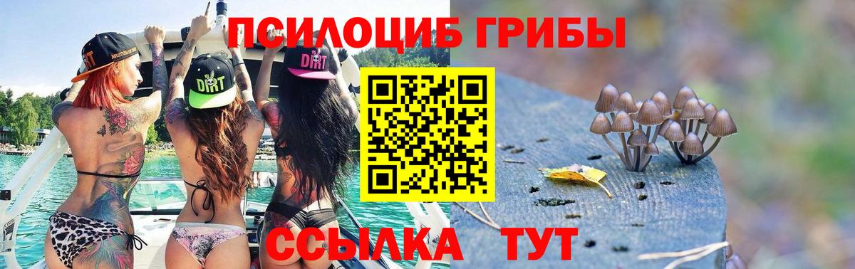 Галлюциногенные грибы Psilocybe Великий Устюг