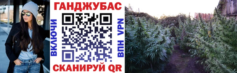 купить наркоту  Великий Устюг  МАРИХУАНА сатива 